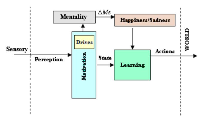 Soccer player physiological structure