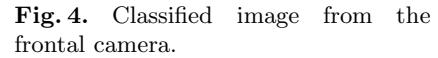 Fig. 5. (continued)