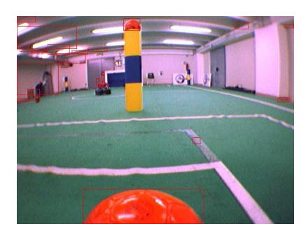 Fig. 6. Connected regions extracted from the frontal camera; some false positives are present.