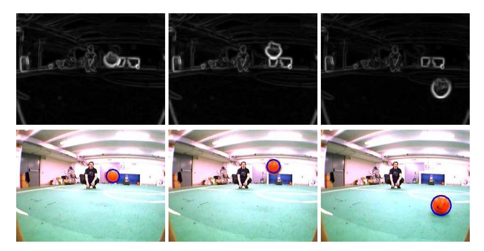 Fig. 8. Circular Hough (below) applied to the edges extracted in the color space after a color invariance transformation (above).