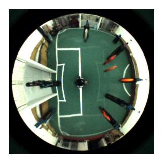 Fig. 7. The panoramic image