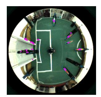 Fig. 8. The arbitrary FIFA ball recognition result
