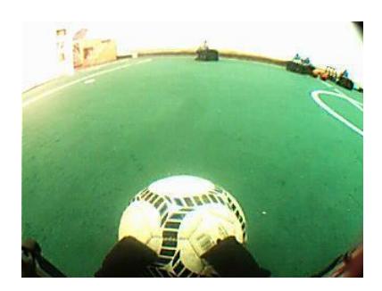 Fig. 9. The image captured by perspective camera