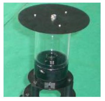Vision system of the first generation