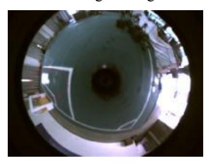 Image captured by the first-generation vision system
