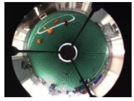 Radial scan line for original image