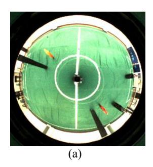 Fig. 6. (a) The outputting image when the camera parameters have not been optimized. (b) The processing result.