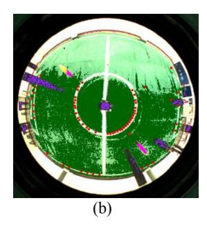 Fig. 6. (a) The outputting image when the camera parameters have not been optimized. (b) The processing result.