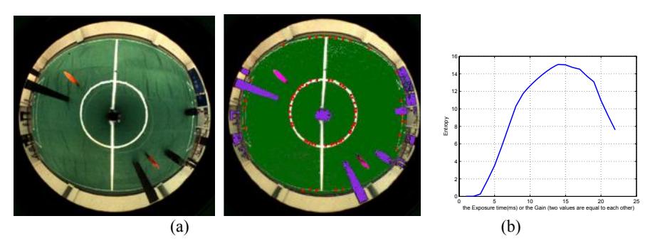 Fig. 7. (a) The outputting image after camera parameters have been optimized. (b) The processing result. (c) The distribution of image entropy along the searching path.