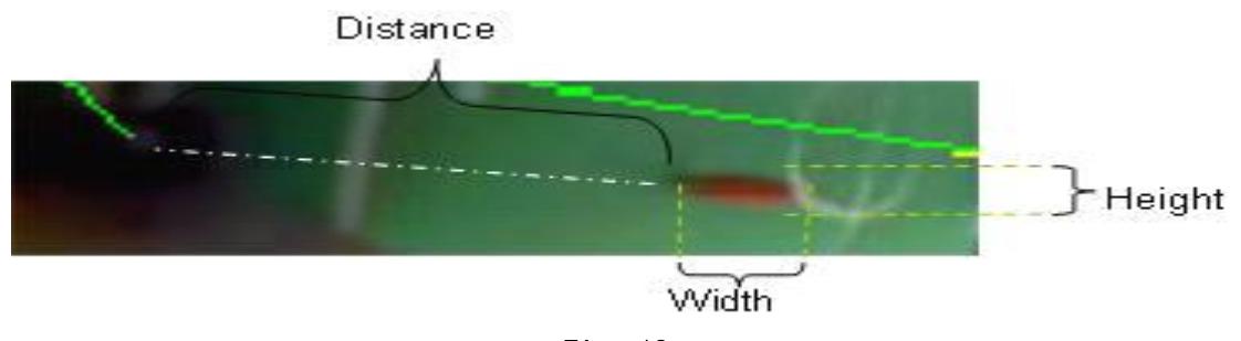 Fig. 12.
