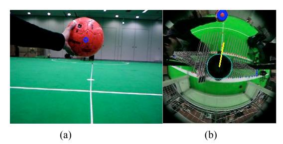 Fig.12 Monocular camera image (a), Omni-camera image (b)