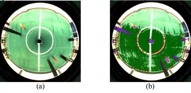 Fig. 6. (a) The acquired image when camera parameters had not been optimized. (b) The processing result.