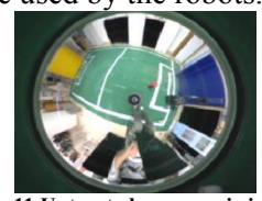 Fig.11 Untreated panoramic image