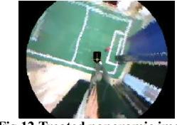 Fig.12 Treated panoramic image