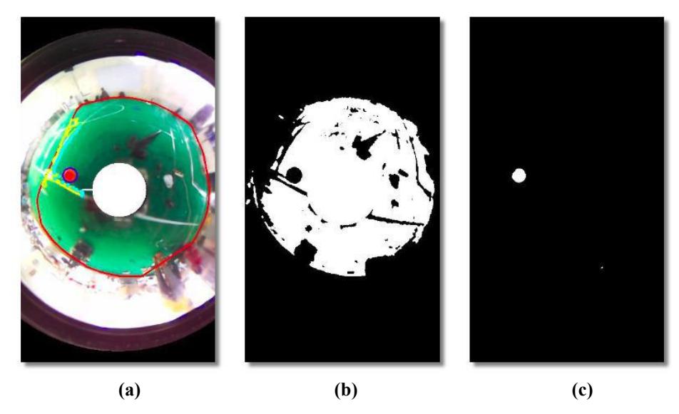 (a)Original Display (b)Field Contours (c)Ball Countours