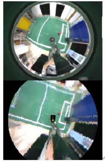 Fig.13
