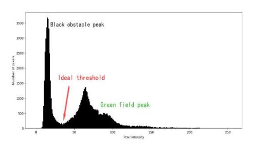 Fig. 4: Intensity histogram of the image Fig. 5: Black obstacle extraction results