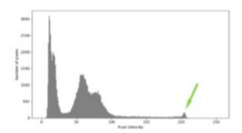 Fig. 10
