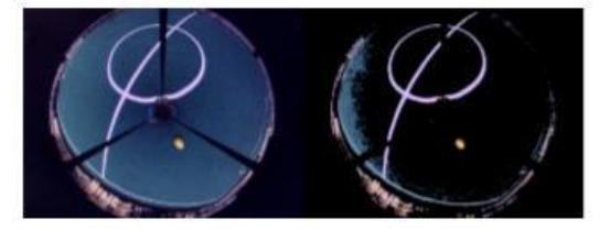 Fig. 12