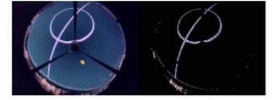 Fig. 13