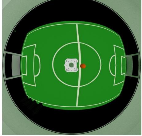 Fig. 4. Simulated view from the omnidirectional vision system.