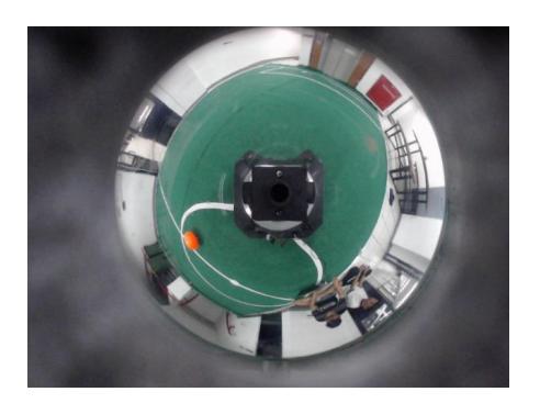 Fig. 6. Some capabilities of our computer vision system. An example of image acquired from camera is shown in (a). That image is then transformed and flattened. The result is (b). Figs. (c) and (d) show the detected objects of interest.