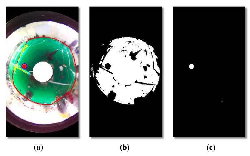 Fig. 6. (a) Original Display (b) Field Contours (c) Ball Contours