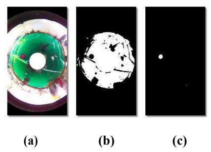 (a) Original Display (b) Field Contours (c) Ball Contours