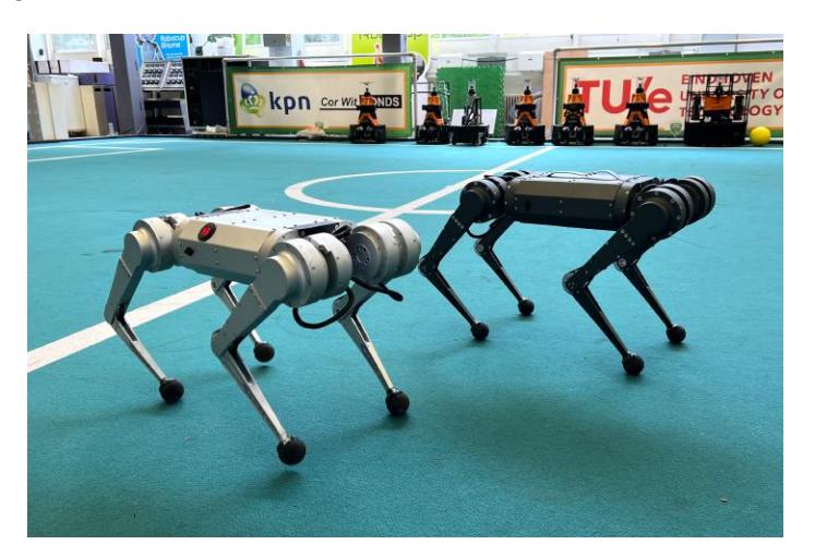 Fig. 2: MIT Mini Cheetah quadruped platforms.