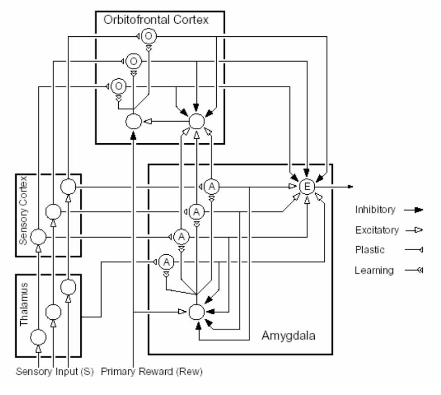 Figure 1: A graphical depiction of the Balkenius model.
