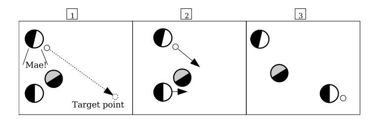 Fig. 1. Mae