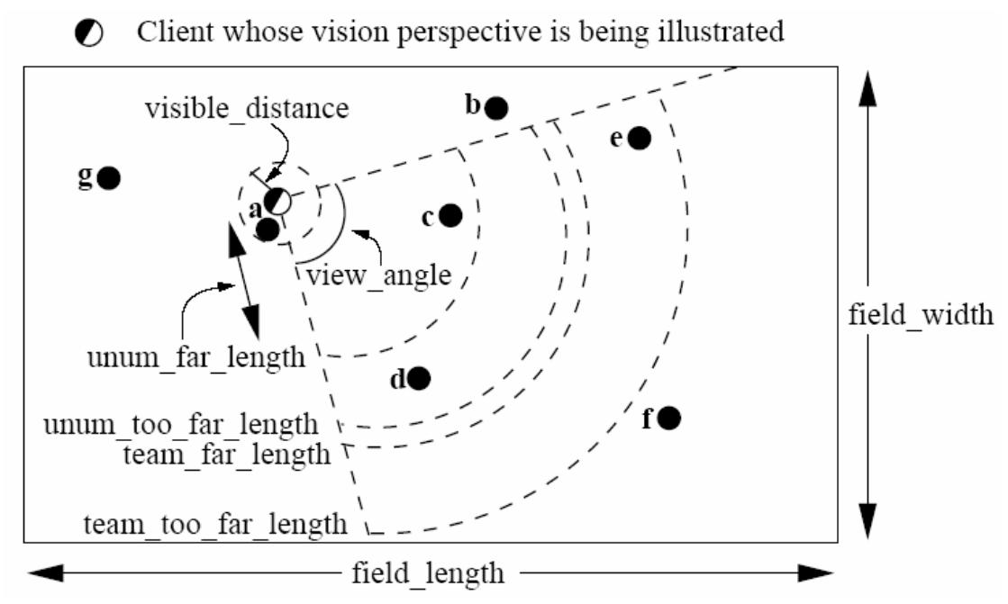 Figure 1. The vision sensor model of an individual agent in the soccer server.