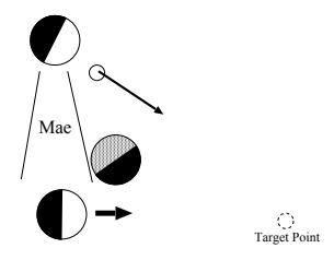 Figure 1: Mae