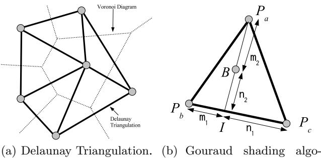 Fig. 2. Delaunay Triangulation and Linear Interpolation.