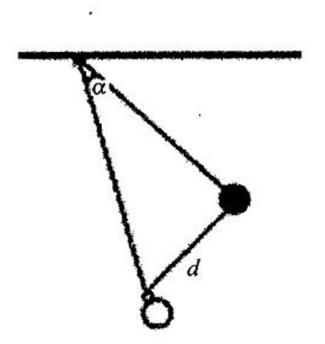 Fig. 3. Training for shoot