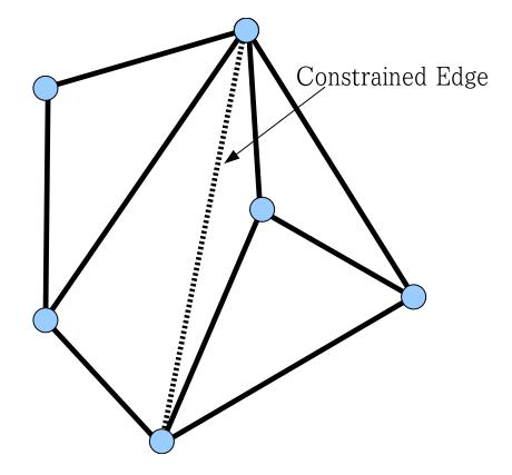 Fig. 3. Constrained Delaunay Triangulation.