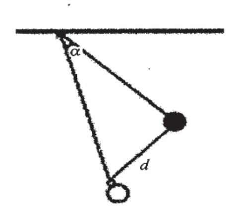 Fig. 5. Training for shoot