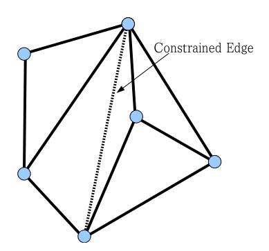 Constrained Delaunay Triangulation.