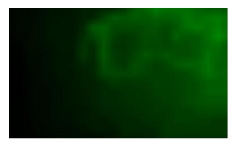 Fig. 2. Field evaluation for