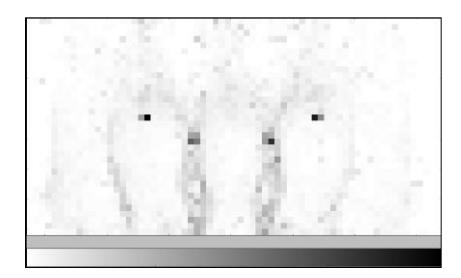 Fig. 1. Visualized positions of the opponent agents in opponent cote.
