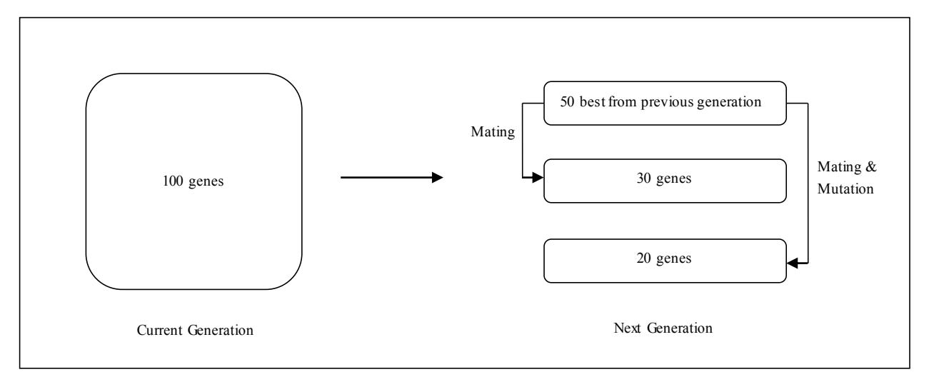 Figure 2- The production of next generation