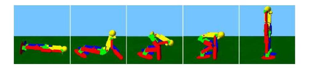 Fig. 1. Standing up from a prone posture.