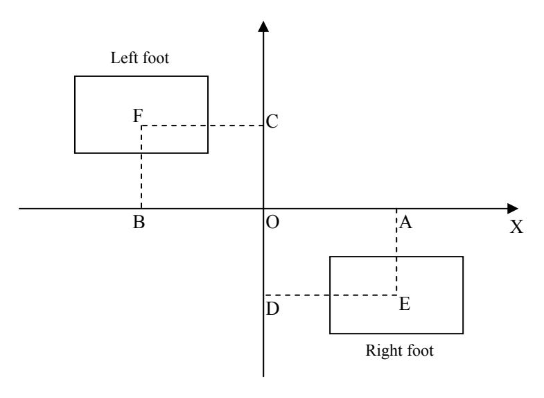 Fig.4: the double feet form the bearing surface. O is the projection of the center of its gravity