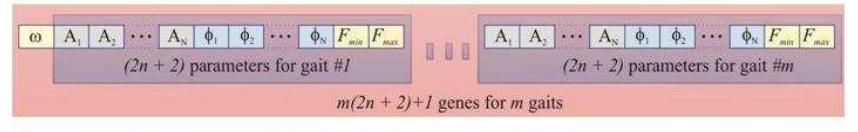 Fig.2. Genotype description for Partial Fourier Series