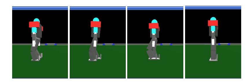 Fig.7 Soccerbot walking skill