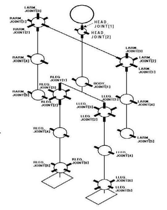 Evolutionary approaches and motion parameters
