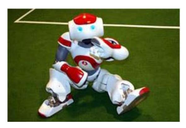 Fig.1. Real Nao Model