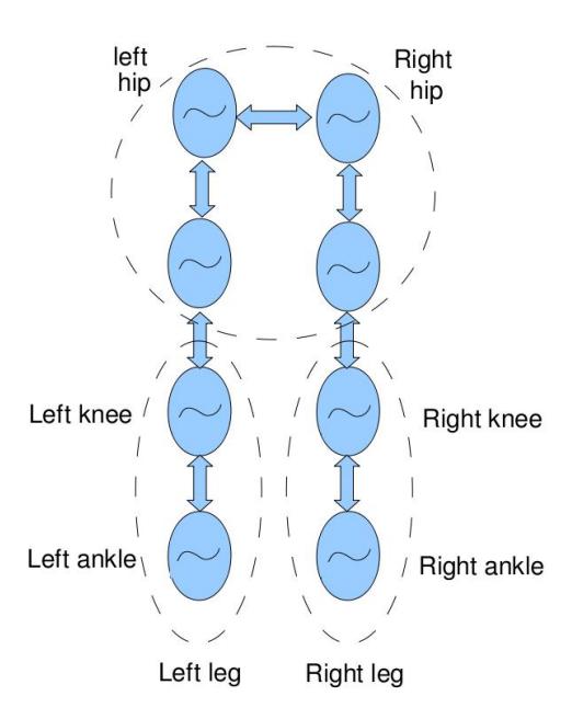 Fig. 4. The architecture of a CPG network