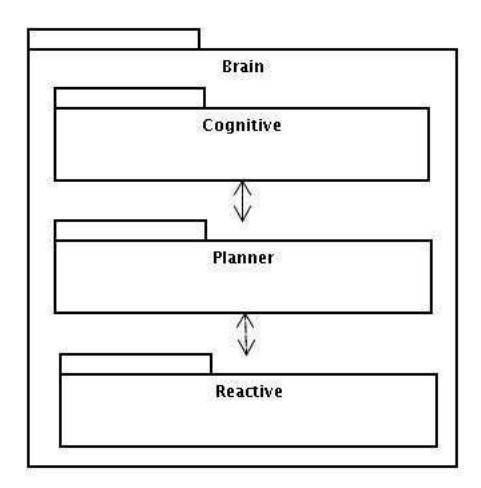 Fig. 2. Brain's layers division
