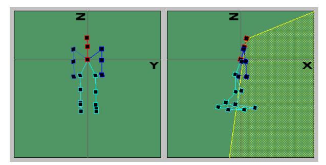 Fig. 2. Pose of the agent